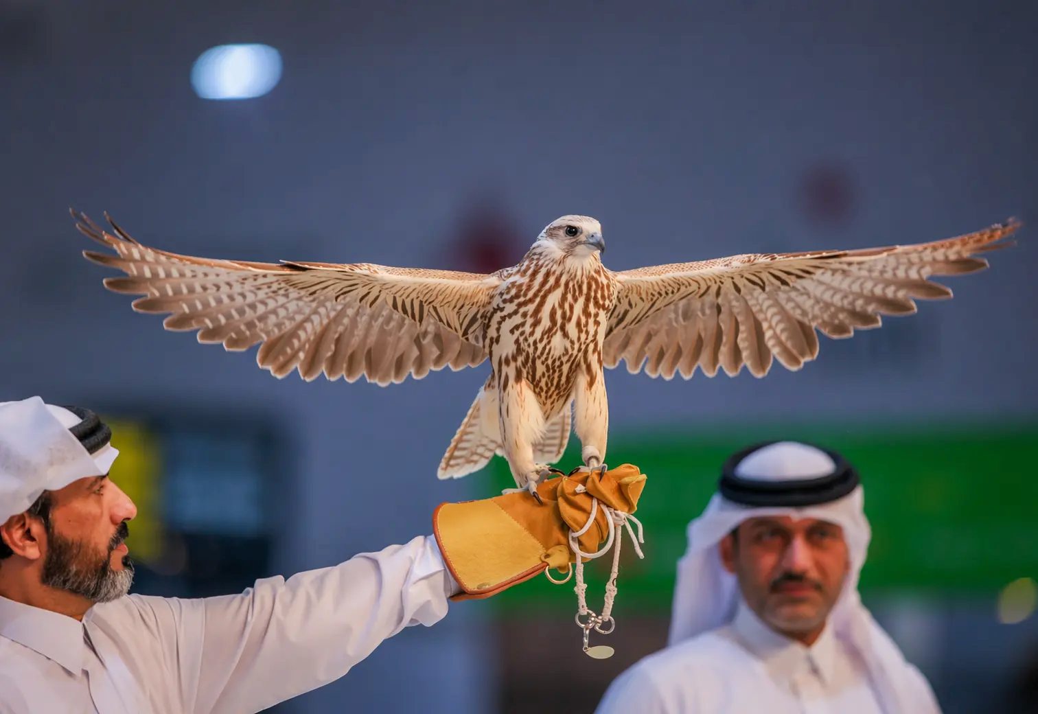 HUNTING & FALCONRY EXHIBITION 2026
